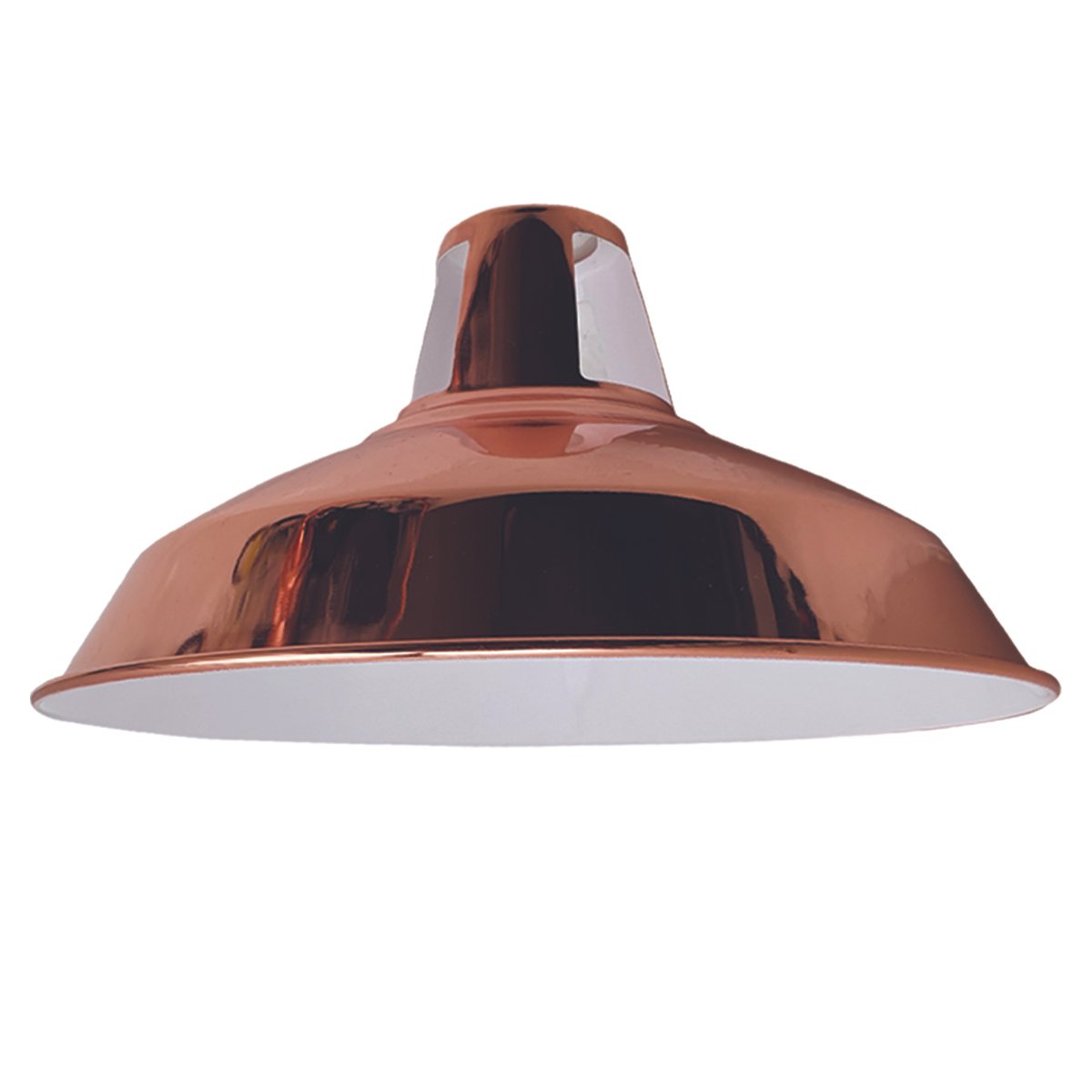 Modern Metal hanging Pendant light for living room ~2692